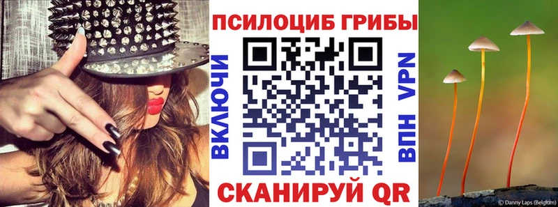 как найти наркотики  мега зеркало  Галлюциногенные грибы Psilocybine cubensis  Шиханы 